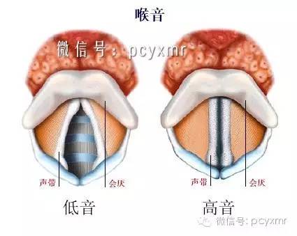 眼球镶金 改变掌纹 给这些开脑洞的整形手术跪了