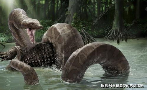 史前巨兽泰坦巨蟒,世界上最大的蛇,可以和恐龙一较高下