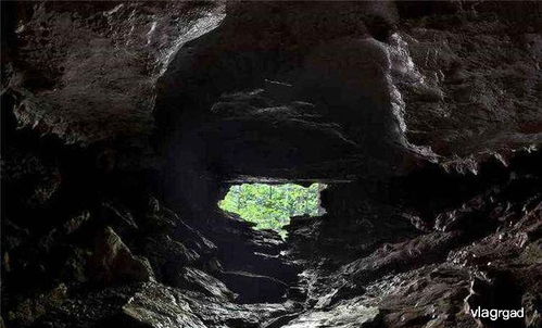 库鲁伯亚拉洞穴是世界上最深的洞穴,专家还在洞内,发现神秘生物