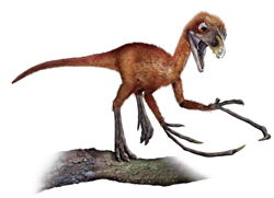 始祖鸟是恐龙还是鸟的祖先?(始祖鸟恐龙简笔画)