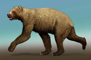 巨型短面熊是如何灭绝的?曾经不可战胜的(巨型短面熊有天敌吗)