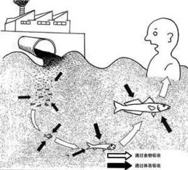 喜欢吃鱼的佛山人注意了 这种鱼头,竟然毒过砒霜