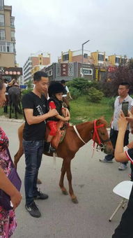 它是中国最短的马,许多富人花钱买这种马在院子里饲养