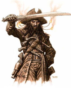 黑胡子海盗是怎么死的?1680年出生于英国布里斯托尔,绰号黑(黑胡子海盗最后的抵抗读后感)