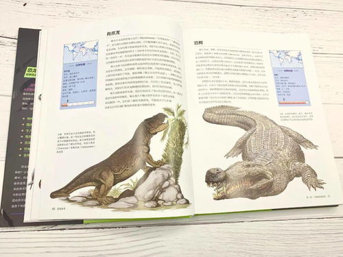 震撼 170种恐龙大揭秘,堪比纸上的 侏罗纪公园 大电影
