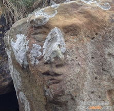 苏格兰海滩巨石上现诡异人脸 图