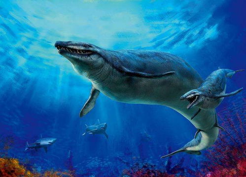 龙王鲸和巨齿鲨谁更厉害 巨齿鲨也许可以把龙王鲸按在地上摩擦