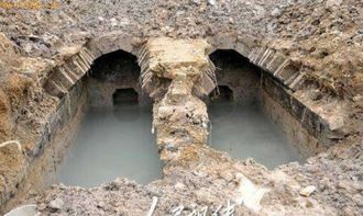 宁夏发现千年古墓,布满盗洞专家唏嘘不已,谁料挖出国宝级大金牛
