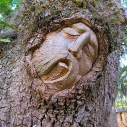 树上长出人脸 这 树人 雕刻,可能会吓到不知情的路人
