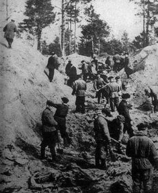 卡廷悲剧之谜 纳粹德国宣布卡廷森林发现大量波兰士兵尸体