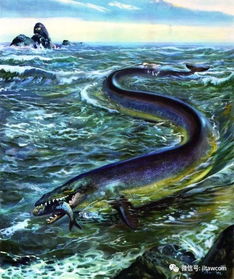 海洋科普 853 被误认为 大海蛇 的古代海洋动物 龙王鲸