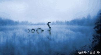 尼斯湖水怪真相或将揭开 科学家将采集尼斯湖水怪的DNA 
