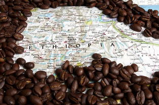 最早种植咖啡的国家不是巴西,而是埃塞俄比亚(最早种植咖啡的国家)