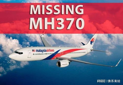 最新发现 专家称马航MH370被发现,是时候给失联家属一个交代了