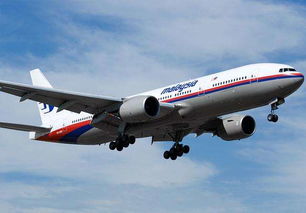 马航MH17空难5年, 山毛榉 到底是谁发射的