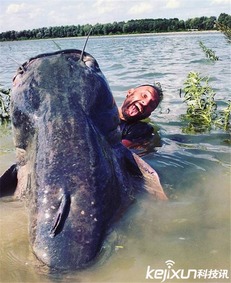 渔民钓起240斤重巨型鲶鱼 体型巨大犹如海怪