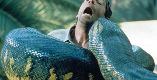 5500万年前,地球的一次 发烧 ,孕育了史上最大的蛇