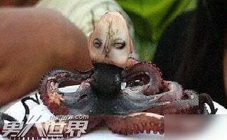 恐怖的印尼章鱼人，长着人首会发出婴儿般的啼哭