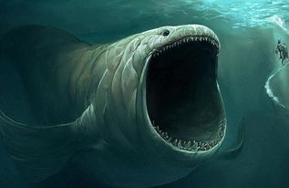 身长超过18米,巨齿鲨的亲戚出现在苏格兰,真身或比鲸鱼还大