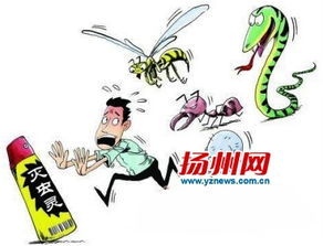 扬州主城区仪征降雨超50毫升 市民被蜈蚣咬伤小心毒虫出没 