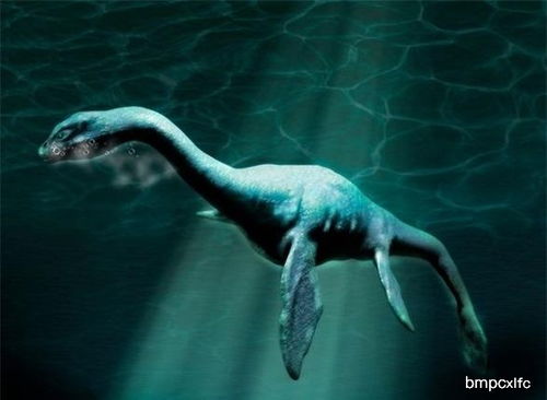尼斯湖水怪是什么，专家怀疑是一种鱼类动物 巨型鳗鱼 尼斯湖水怪是什么