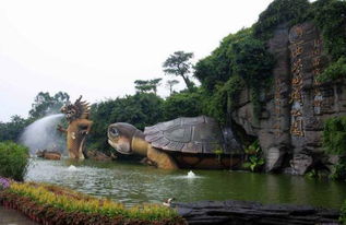湛江湖光岩水怪之谜，多名目击者见过 疑似巨型鱼类 湖光岩有没有水怪