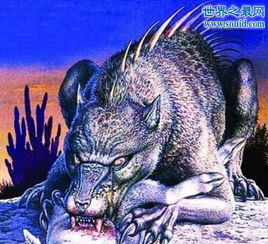 吸血怪兽卓柏卡布拉，美洲的一种吸血动物 吸血怪兽卓柏卡布拉怎么画