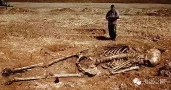 国外考古队发现巨人化石,难道巨人族真的存在 