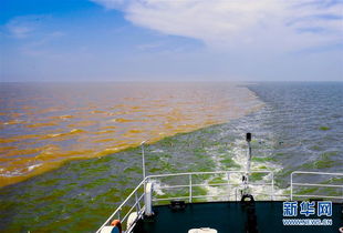 鸟瞰黄河入海口 看湿地之城 