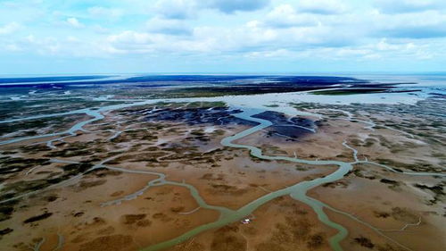 流入大海的泥沙凭空消失了 原来地球已被一条裂缝隔开