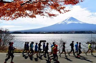 富士山是属于私人的吗 日本 没错,我每年还要拿很多租金