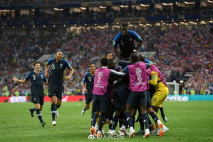 4 2 法国击败克罗地亚获得世界杯冠军