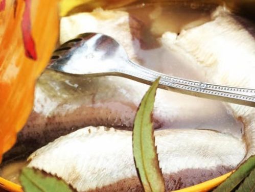 鲱鱼罐头味道特别臭,为何还要生产 瑞典人直言你们都吃错了