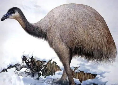 地球十大最可能被复活的远古灭绝动物,有你认识的吗