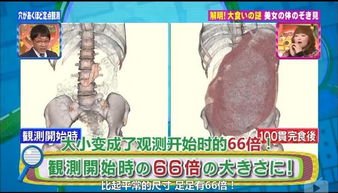 一口气吃掉100个寿司 大胃王的秘密你了解吗