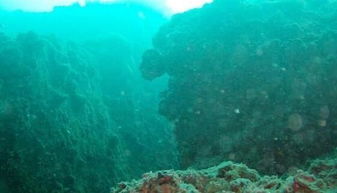 世界上最深的海沟 马里亚纳海沟最深11.034公里 
