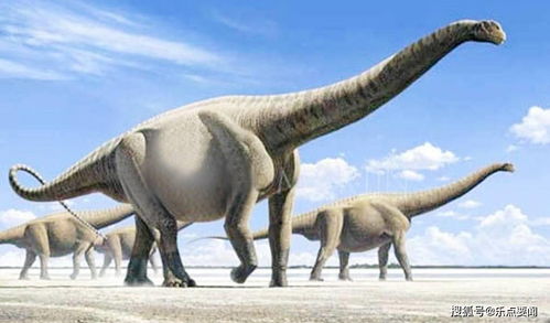 6500万年前,恐龙并不是瞬间灭亡的 这是一场持续数百万年的死亡