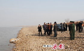 黑龙江密山市发现一具野生成年东北虎尸体 