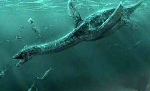 揭秘 日本1977年海怪尸体事件,它是世界上最后一只蛇颈龙