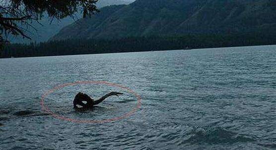 青海湖水怪都出现在淡水湖 青海湖水怪之谜