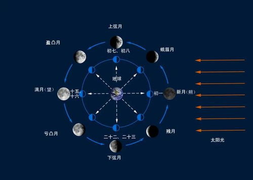 月亮的变化规律和图片 月相的变化图