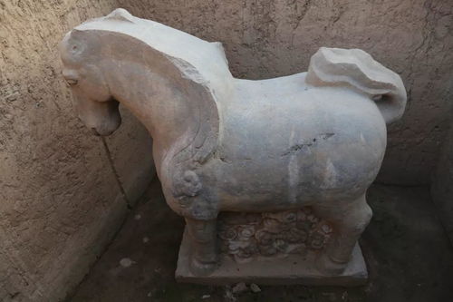 唐丰陵最新考古成果公布 发现三出阙和珍品石刻翼马
