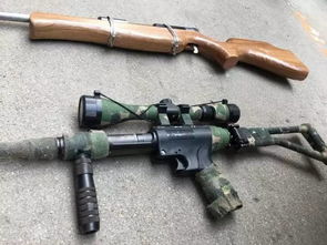 前武警为打鸟自制枪支,却因此锒铛入狱 