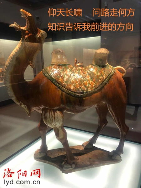 唐三彩是哪三彩 本周五晚,来洛阳博物馆找答案吧 