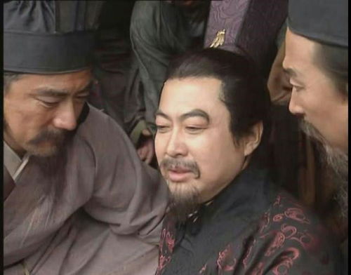 刘备夺取益州后,刘璋和他的儿子们结局怎样