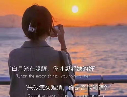 白月光:无法触及的美丽 这两个词都来自张爱玲的小说《红玫瑰与(不敢触及的白月光)