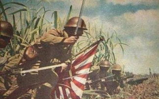 这支由日本人组成的明朝伪军,作战时凶狠残忍,杀自己同胞来毫不手软 