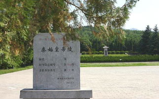 中国历史上第一个绝后的皇帝 到死不立皇后 墓穴至今无人敢碰
