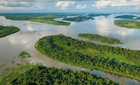 表情 世界上最长的河流尼罗河 长度为6670千米 尼罗河 河流 长度 新浪网 表情 