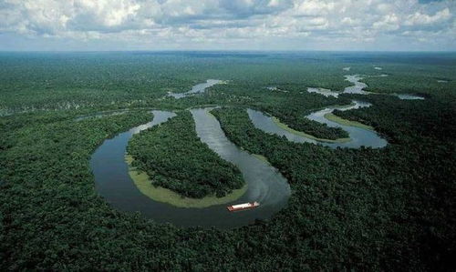 世界最长的十大河流排名, 两个中国独有,亚马逊非第一